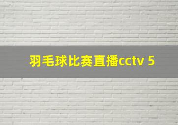 羽毛球比赛直播cctv 5